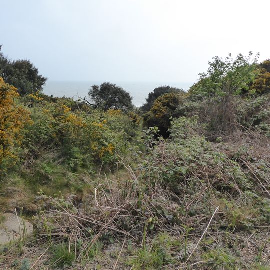 Gunton Warren and Corton Woods