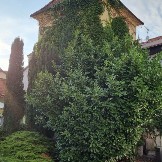 Zvonice u kostela svatého Jana Křtitele