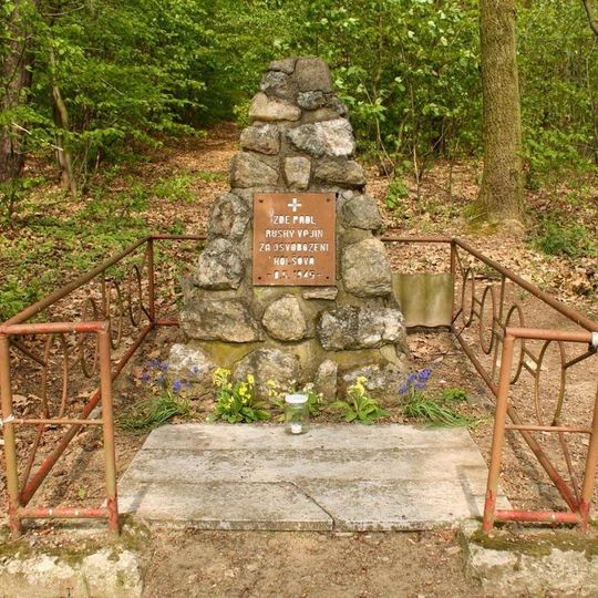 Pomník neznámému vojínovi v Kolšově u lesa