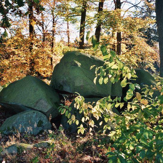 Großsteingrab Grumfeld West