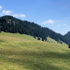 Haidwand