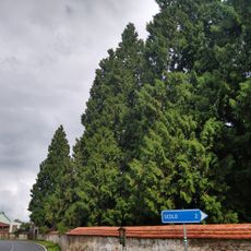 Zeravy v Komařicích