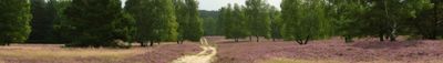 Panoramic View 0