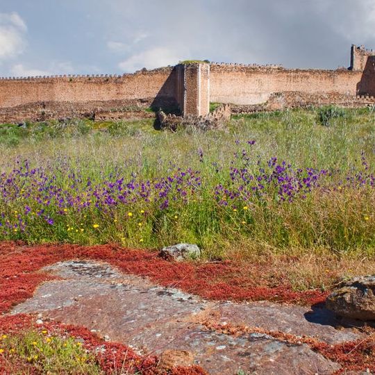 Castle of Montalbán