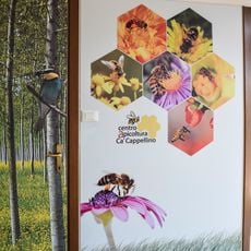 Museo delle Api - Centro Apicoltura di Ca' Cappellino