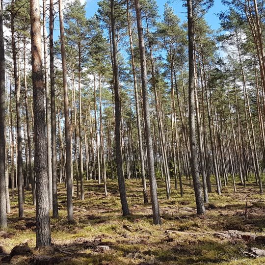 Hardenbeck-Küstrinchen