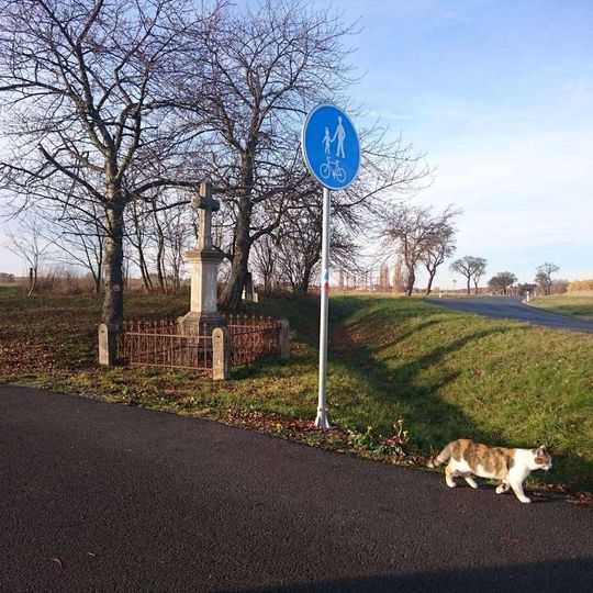 Kříž západně od Nové Vsi u křižovatky
