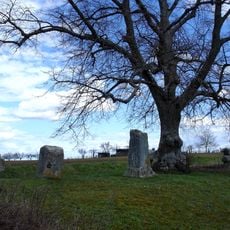 Gerichtslinde an der Dettenhäuser Straße