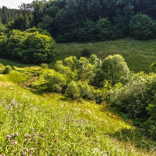 Oberes Filstal - Stadt Wiesensteig