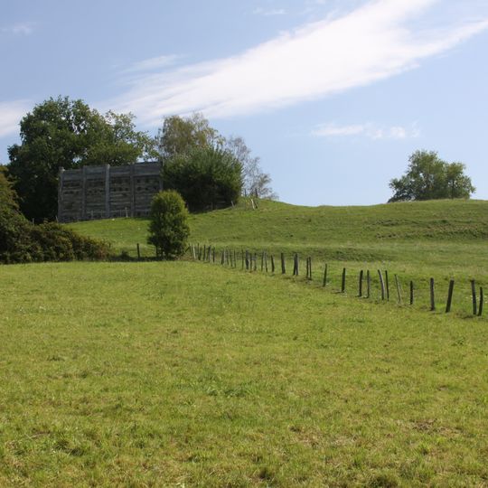 Oppidum Mont Vully