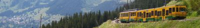 Panoramic View 1