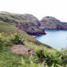 Lye Cove