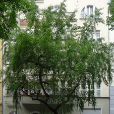 Mietshaus Clausewitzstraße 3