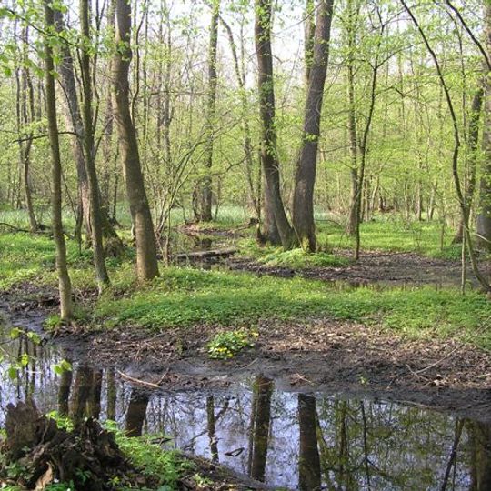 Rezerwat przyrody Majdan