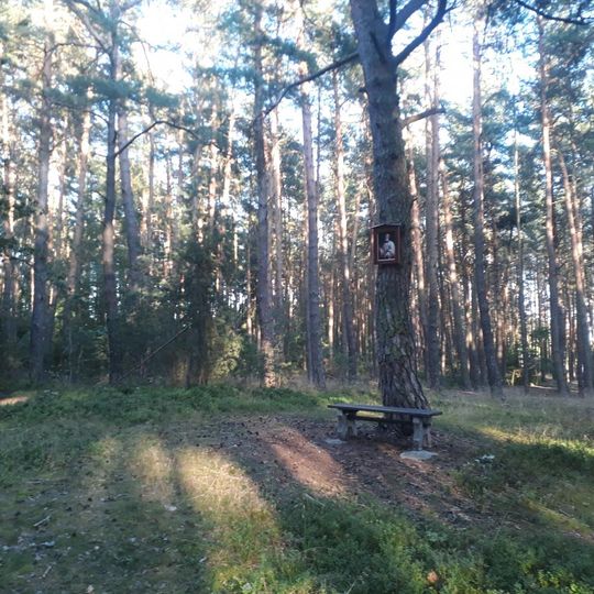 Obrázek se svatým Petrem u Trnové