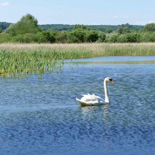 Naturschutzgebiet Kelzer Teiche