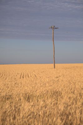 Immagine alternativa