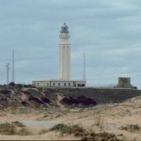 Barbate