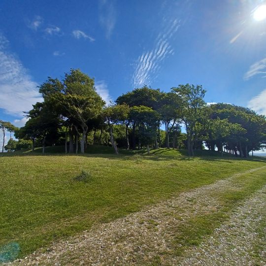 Temples romano-celtiques à Chanctonbury Ring