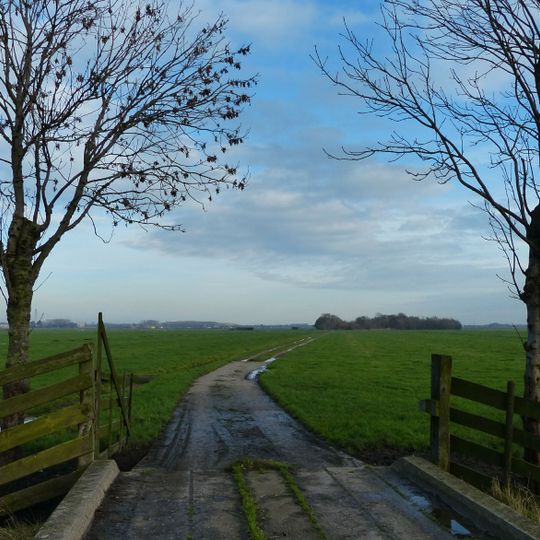 Eendenkooi Schipluiden