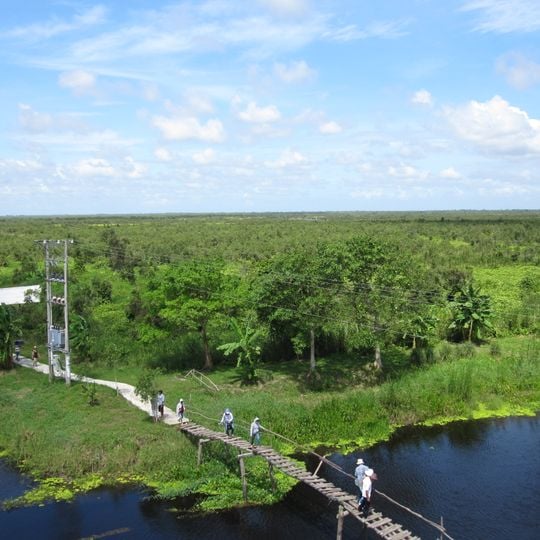 Parco nazionale di U Minh Thuong