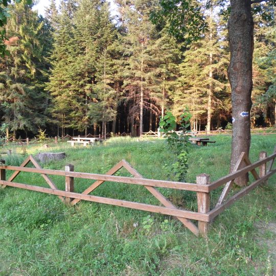 Nature reserve Zarośle