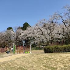 八ヶ山遊園