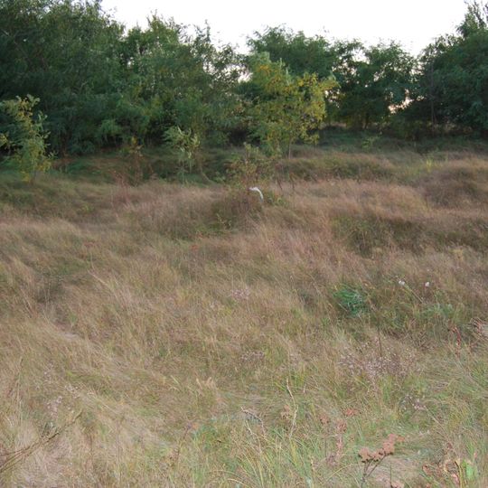 Cmentarz żydowski w Jędrzejowie