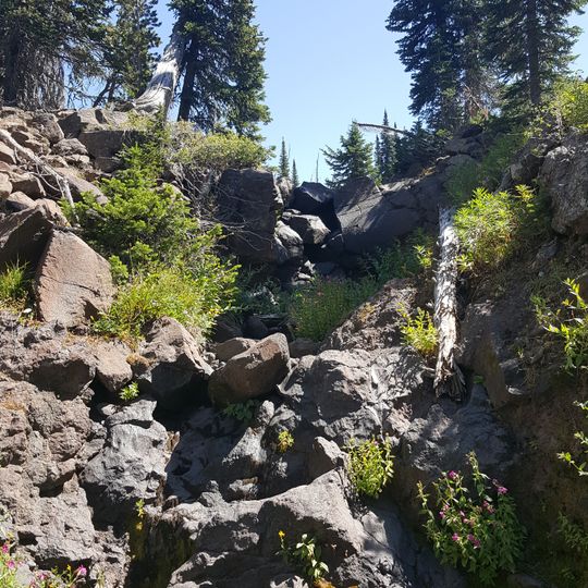Brower's Spring