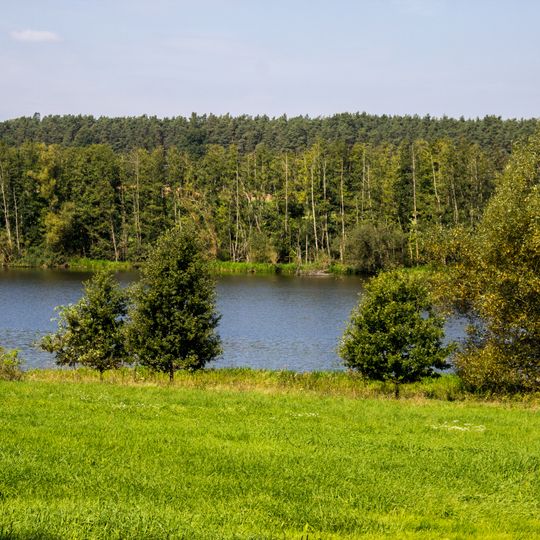 Stauwurzel des Igelsbachsees