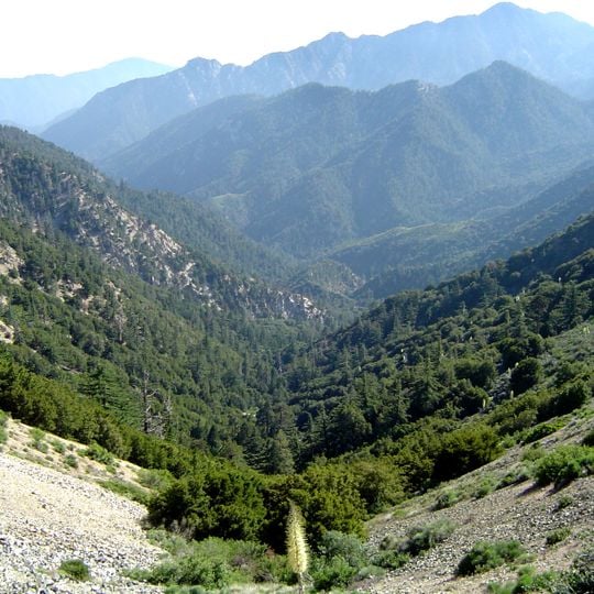 Forêt nationale d'Angeles