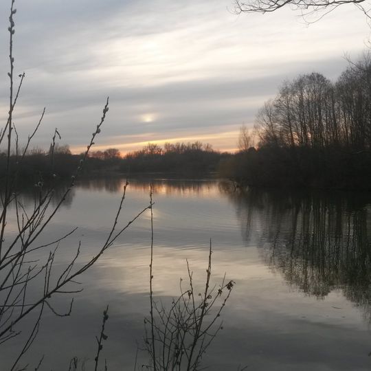 Naturschutzgebiet Massenheimer Kiesgruben