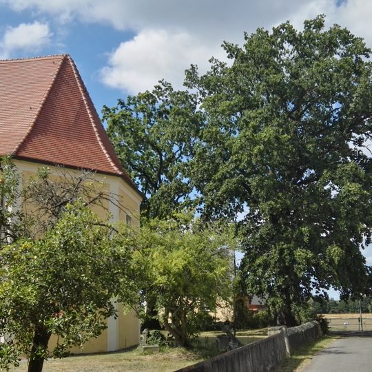 Naturdenkmal Stieleiche Kirchhof, Ecke Kirchgasse / Dorfstraße in Kroppen