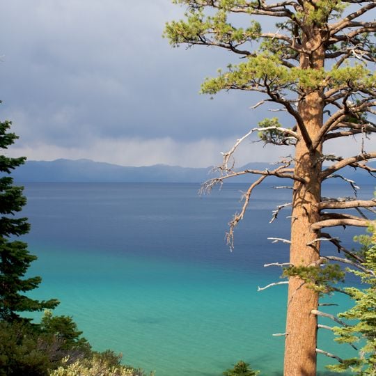 D. L. Bliss State Park