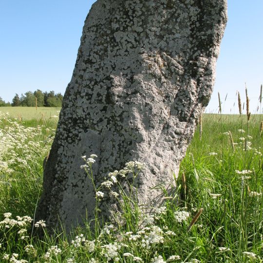 Södermanland Runic Inscription 148
