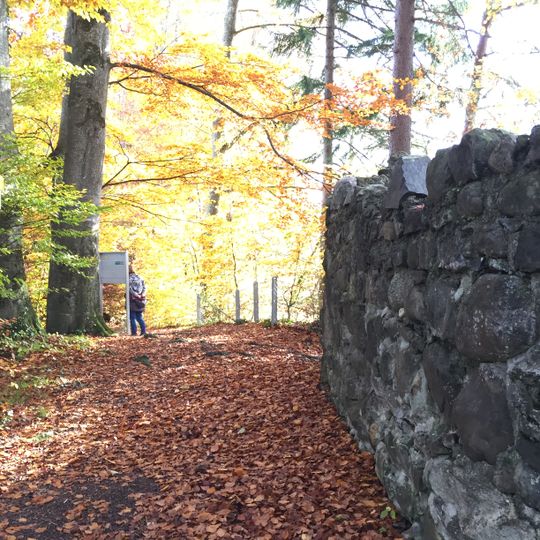 Burg Helfenberg Gossau