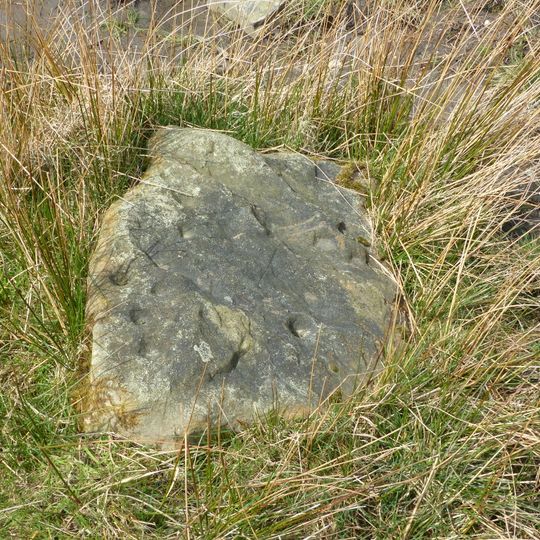 Cup-marked stone 80m east of Robin Hood's Picking Rods
