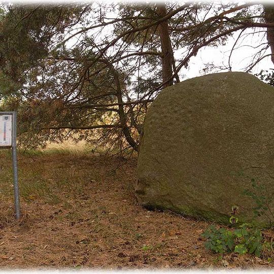 Schalenstein von Drethem