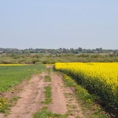 Luha-Rachynska nature reserve