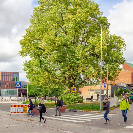Aalto University
