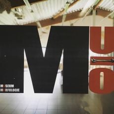 Museum Morfologie