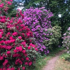 Rhododendronpark Kleine Bastei