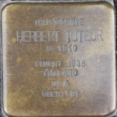 Herbert Tuteur