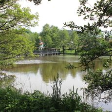 Weiher bei Wiesenfelden