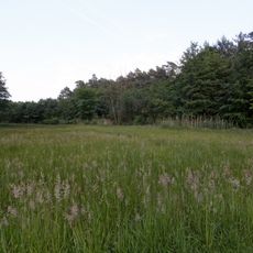 NSG Nieder-Rodener Lache