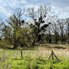 Espace naturel de Perray-Vaucluse