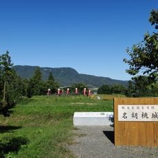 Nagurumi Castle