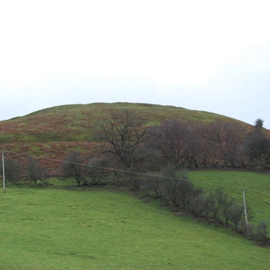 Llwyn Bryn Dinas