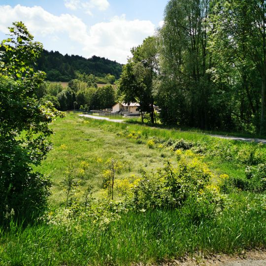 Naturdenkmal Auwaldung Ried