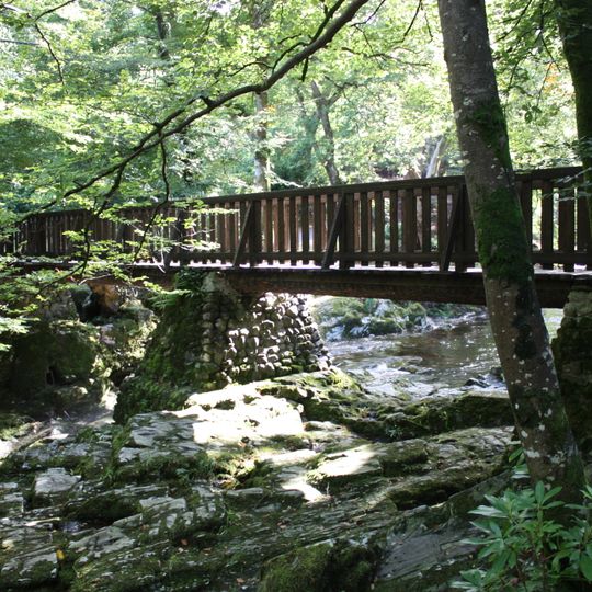 Tollymore Forest Park